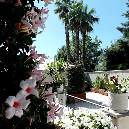 住宿加早餐酒店 Casa Althea