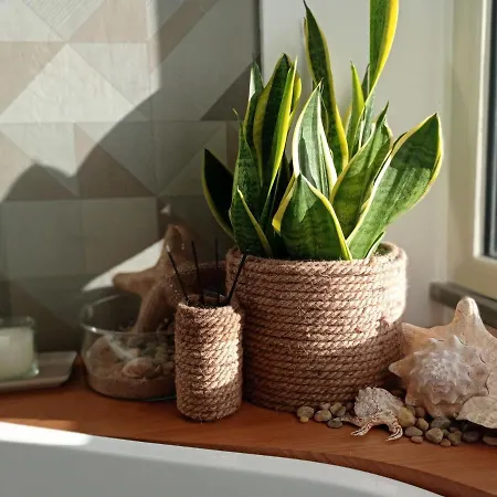 Casa Althea 住宿加早餐酒店 3*