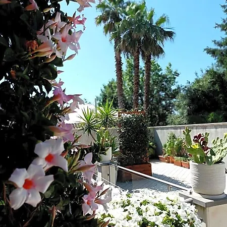 Casa Althea 3*